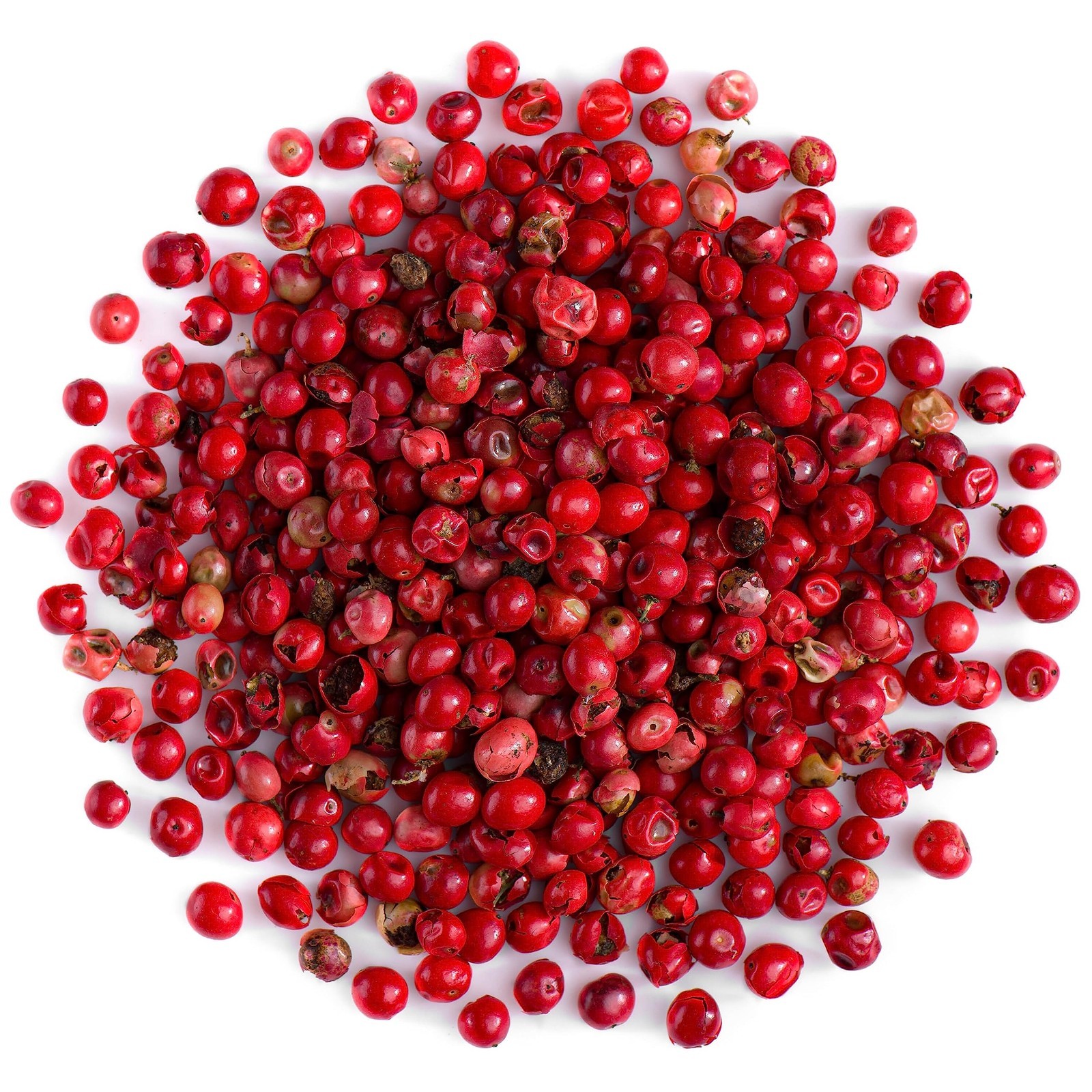 South American Pink Peppercorn Tree Seeds (30) / Rare / Easy