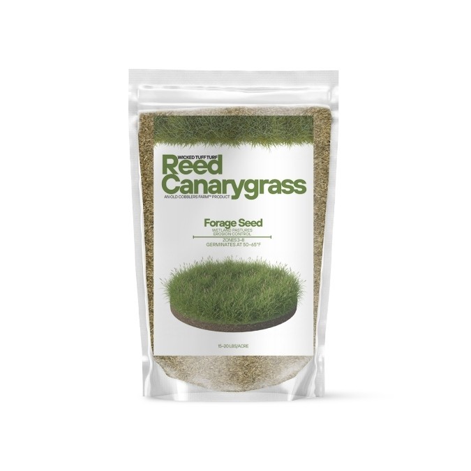 Old Cobblers Farm™ Wicked Tuff Turf Reed Canarygrass – Wetland & Erosion Control