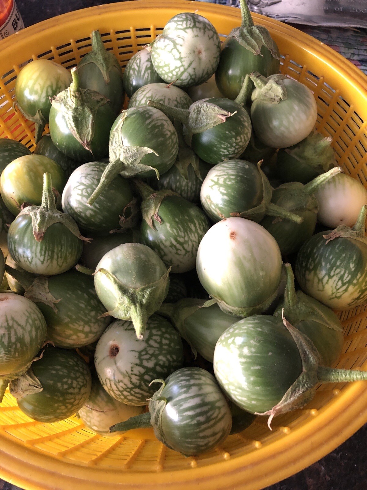 40+ Thai eggplant seeds Grown Organically NON GMO Shipping Within US