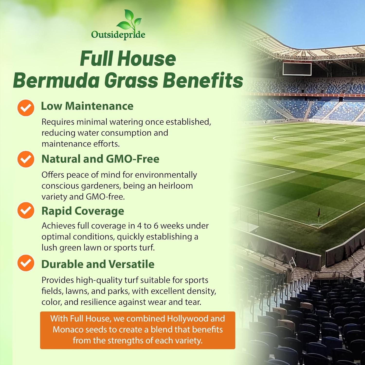 25 LBS Full House Monaco & Hollywood Drought Tolerant Bermuda Grass Seed