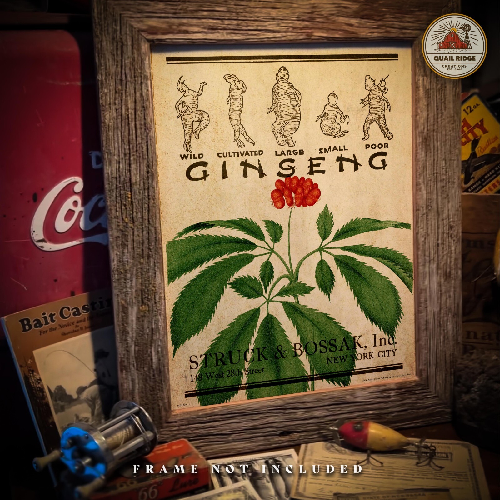 Wild Ginseng Root Poster Art Print Vintage Ginseng Hunting Wall Art Decor Gift