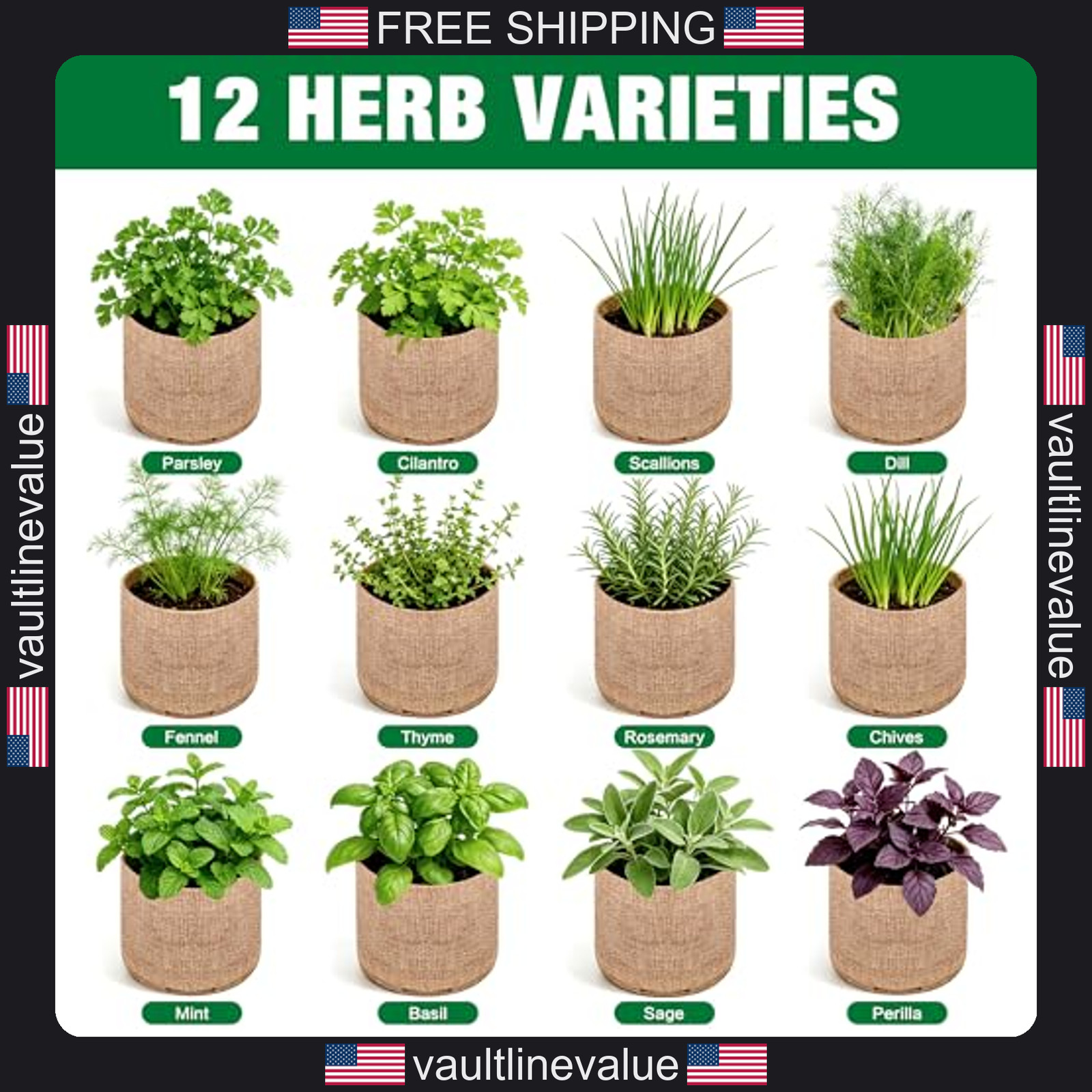 12 herb garden kit indoor herbs seeds growing set gardening gift for women men