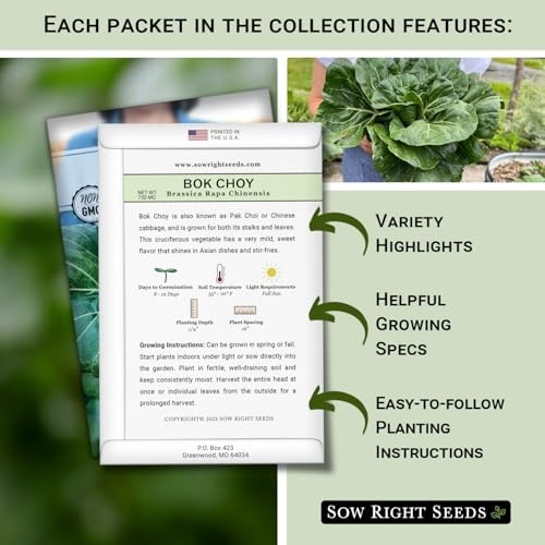 – Asian Garden Seeds for Planting – Includes Basil, Celery, Bunching Onion,