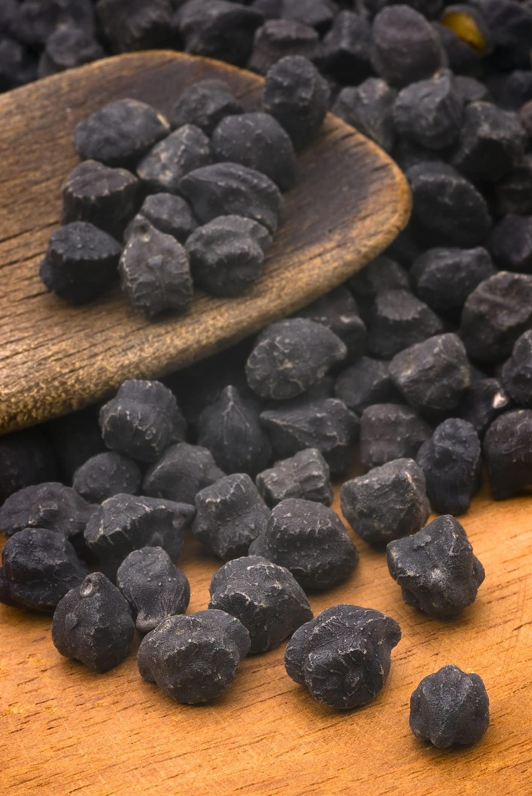 Black Garbanzo Bean Seeds for Planting – Grow Black Chickpeas – Cicer arietinum