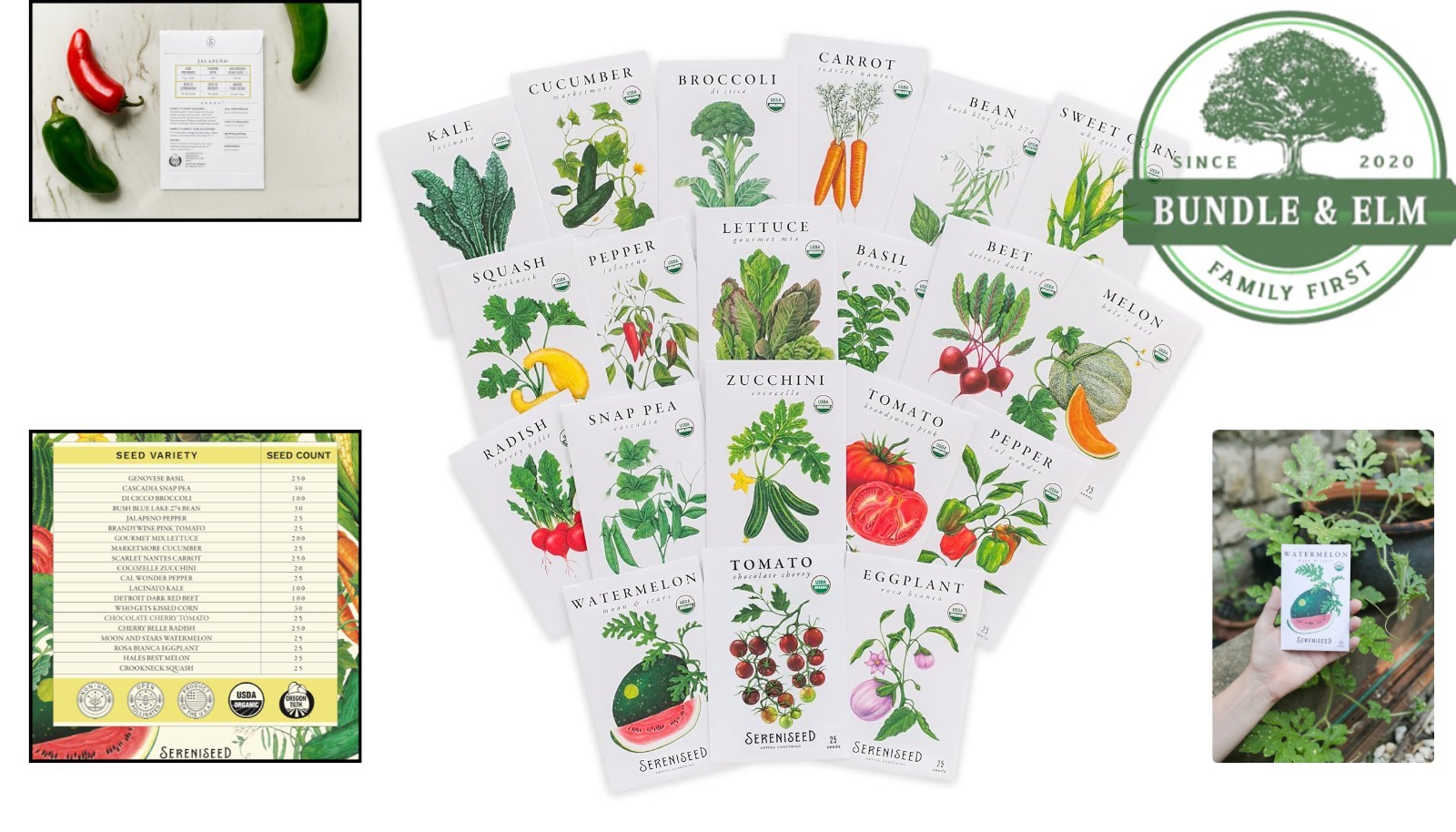 Non-GMO Vegetable Seeds for Planting – 20 Varieties for Indoor/Outdoor Use