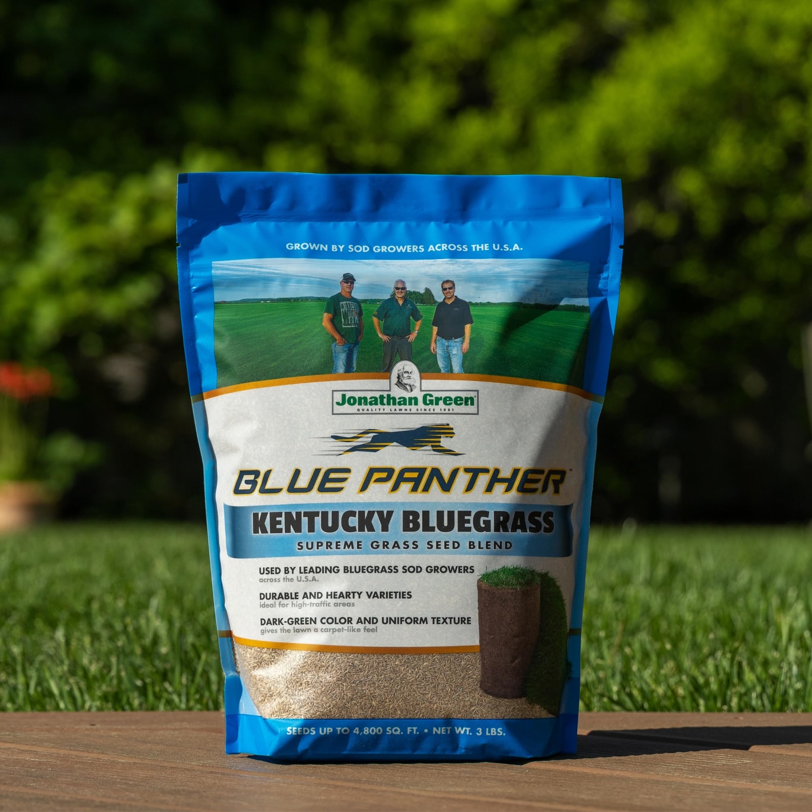 3 lb Kentucky Bluegrass Grass Seed Dark Green Lawn New Yard Overseeding