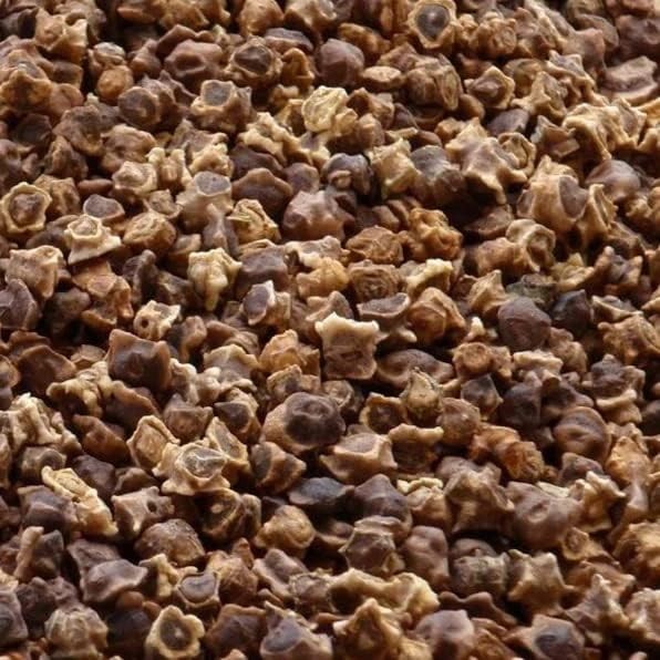 sugar beet seeds, grow your own sugar beets. i have to add words here.