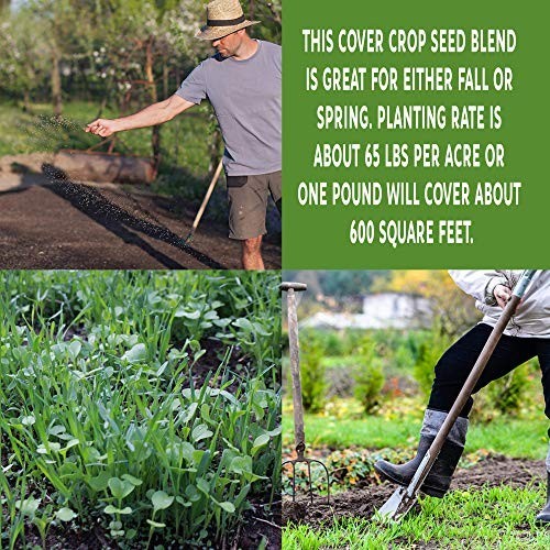 No-Till Garden Cover Crop Seed Mix – 5 Lbs – Hairy Vetch, Daikon Radish & More