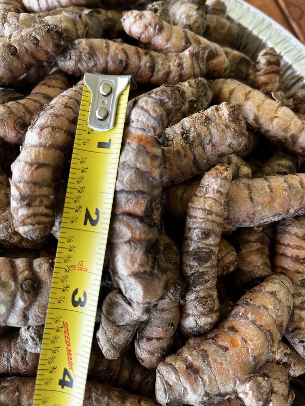 10 PCs Turmeric Roots Curcuma Longa Ready To Plant 3-4”-free shipping