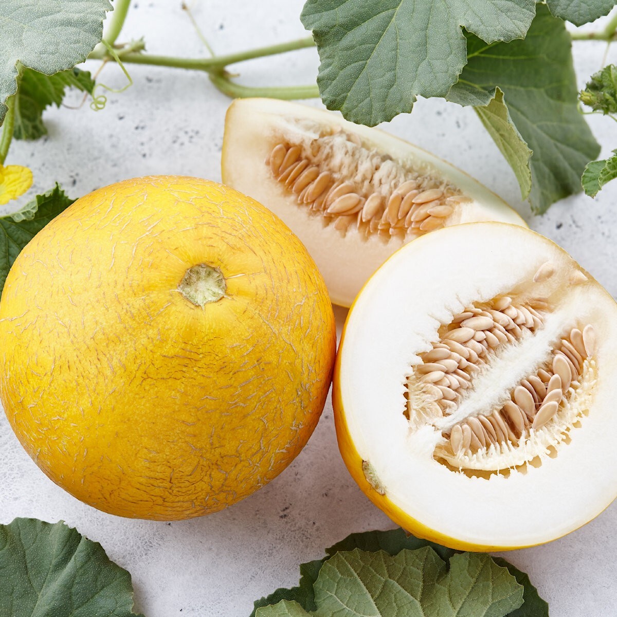50 Minnesota Midget Melon Seeds – Everwilde Farms Mylar Seed Packet