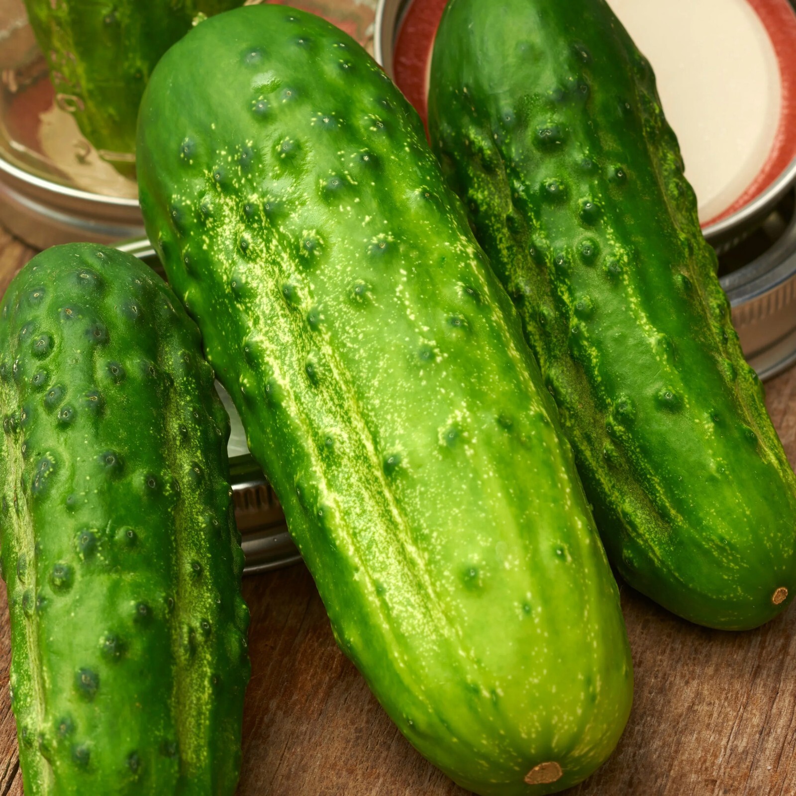 Boston Pickling Cucumber Seeds, NON-GMO, ORGANIC, HEIRLOOM – Free Shipping!