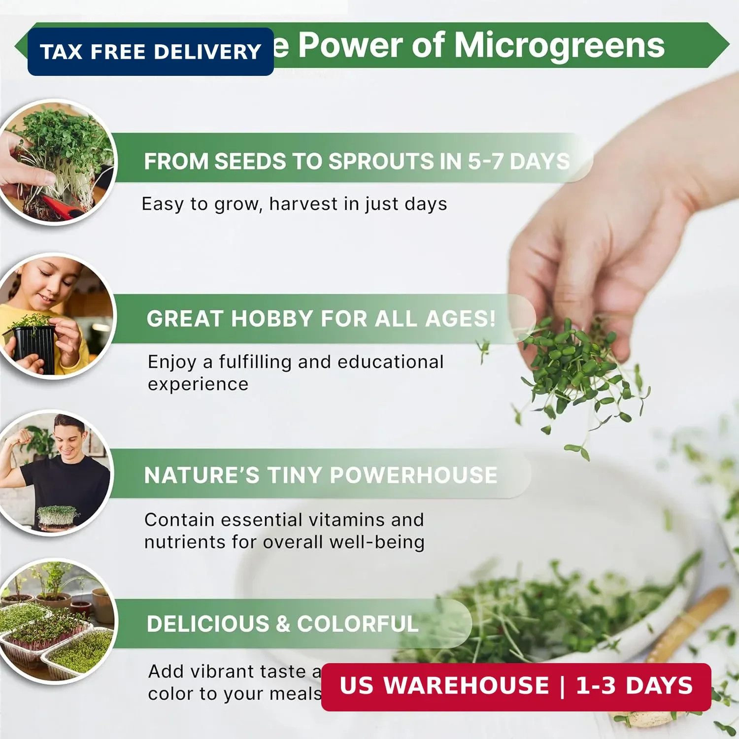 Organo Republic Broccoli Sprouting & Microgreens Seeds – 32,500 Non-GMO Heirloom
