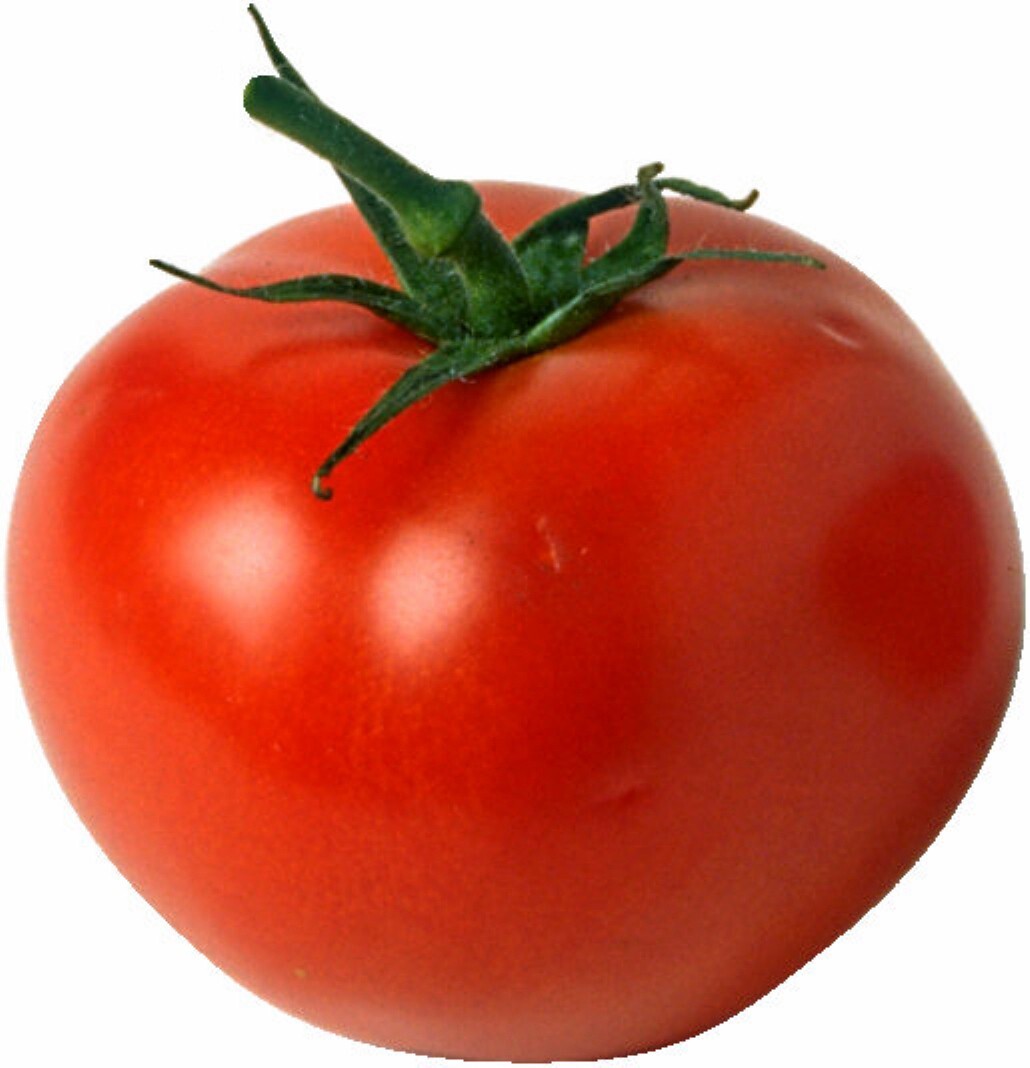Tomato Seeds. Homestead, Non-Gmo Heirloom Tomato Seed, Very Heat Tolerant, 100ct