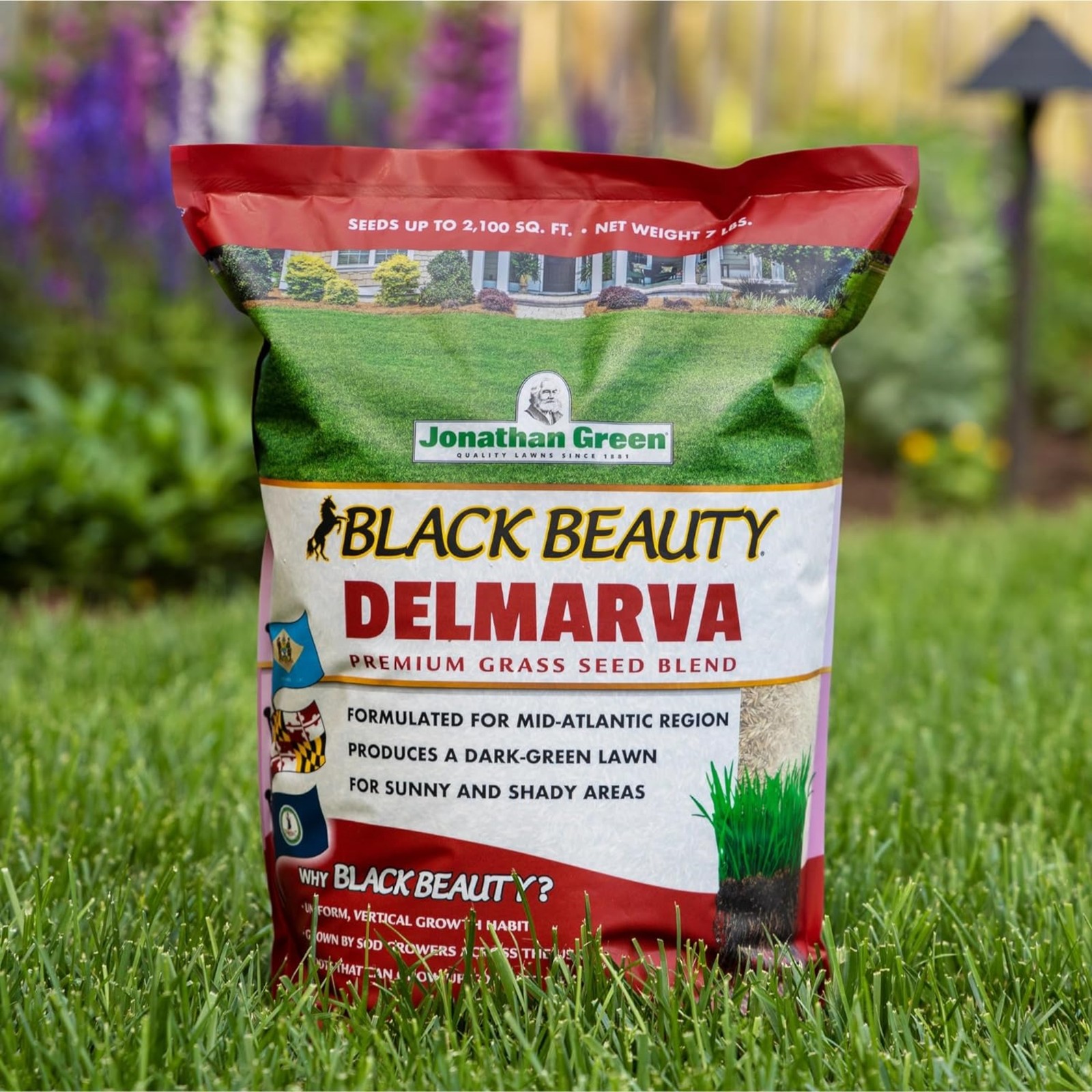 Jonathan Green (#10392) Black Beauty Delmarva Mix Grass Seed, 25 Lb
