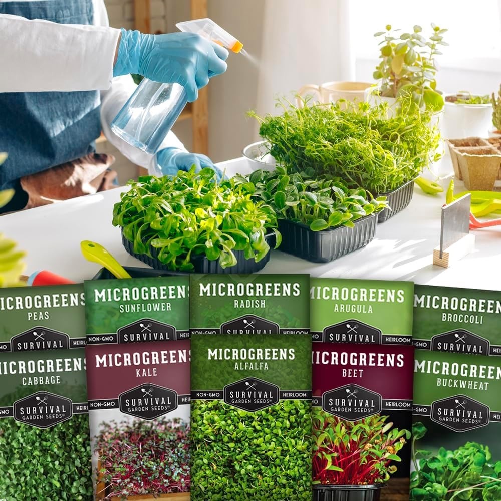 -Round Indoor Microgreens: 10 Varieties of Non-GMO Seeds for Healthy Living