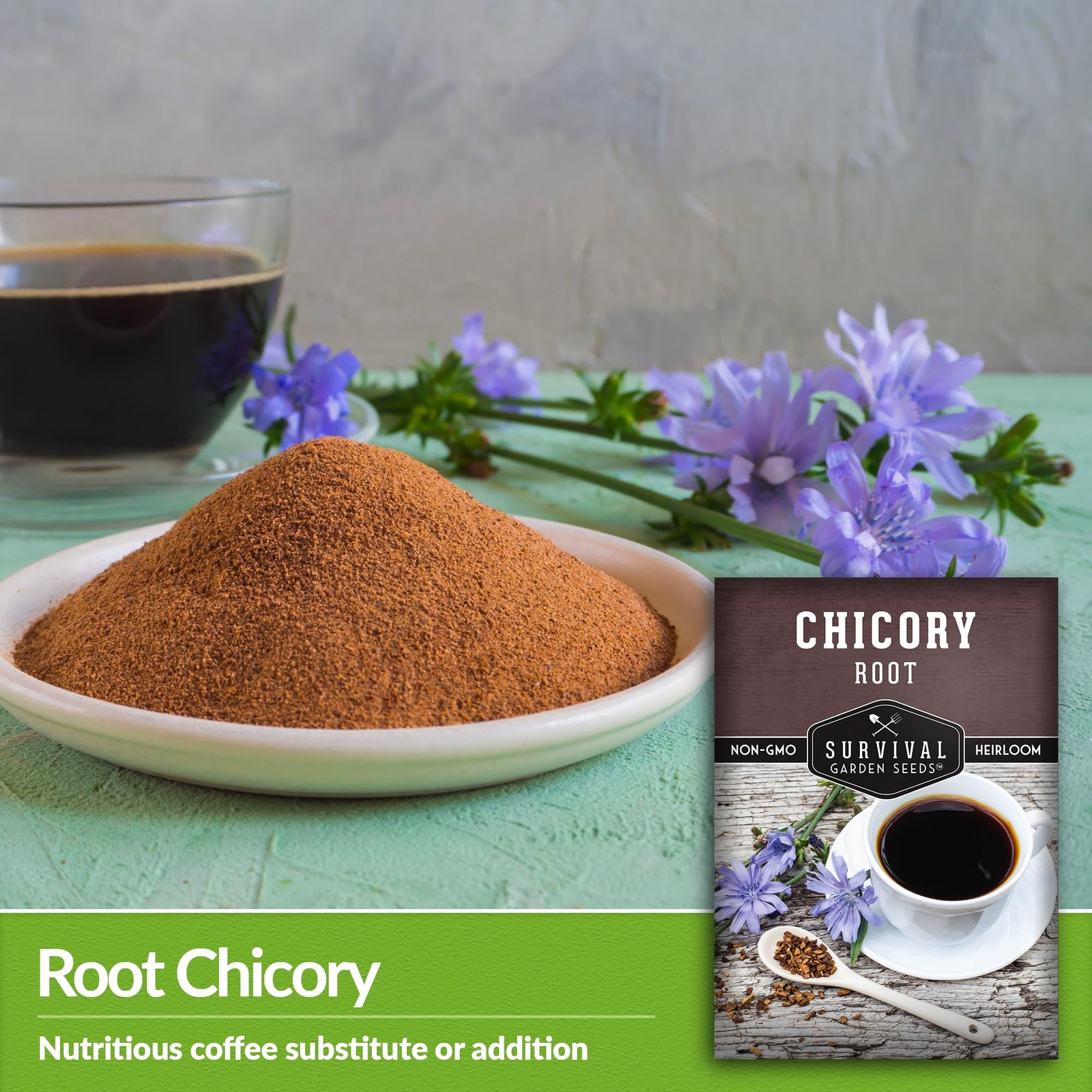Root Chicory Seeds For Planting NonGMO Heirloom Drought Resistant Perennial 23