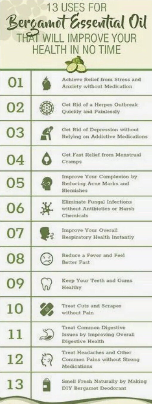 300 Wild Bergamot -Bee Balm -Monarda fistulosas -Medicinal Herb Seeds