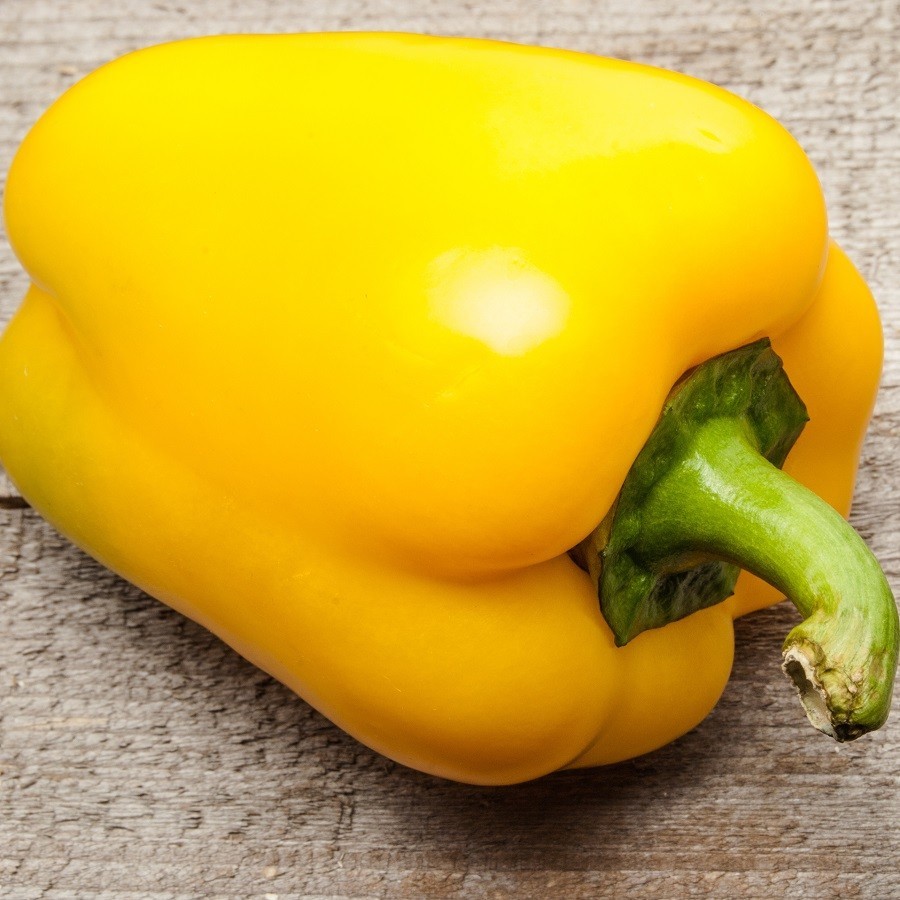 101+SUNBRIGHT Yellow Sweet BELL PEPPER Seeds Organic Vegetable Garden Container