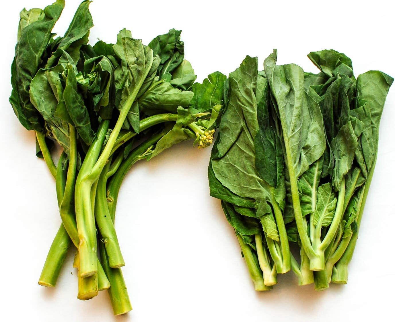 Cool Season 3oz of Pak choy, Chinese Broccoli & Michihili, Pak Choi Cabbage