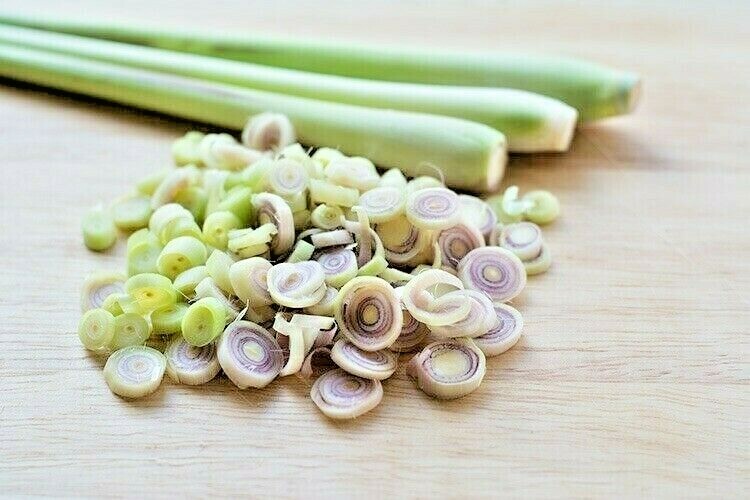 LEMON GRASS SEEDS – HERB – HEIRLOOM – NON- GMO – 100.mg