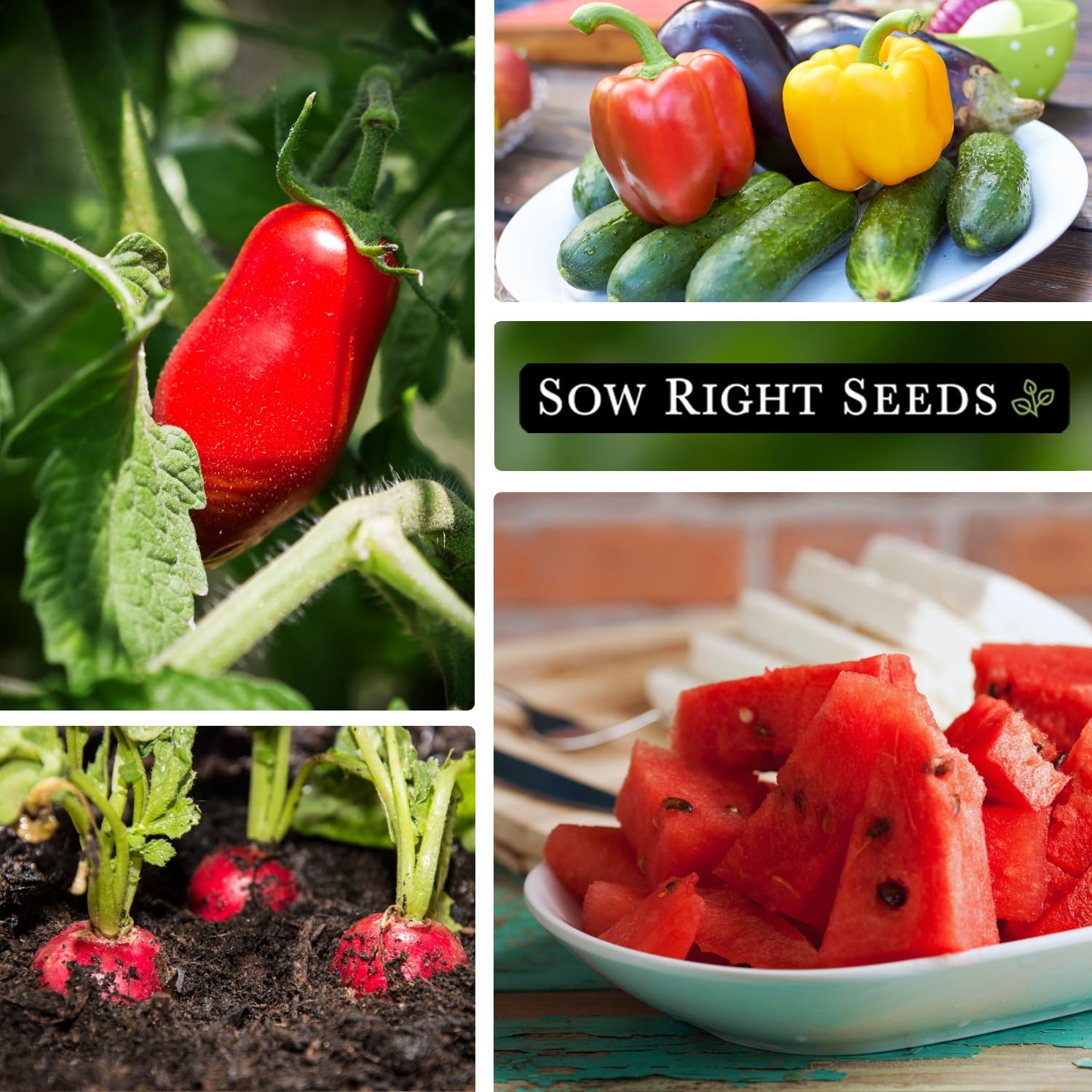 Sow Right Seeds Classic Vegetable Garden Seed Collection for Planting NonGM…