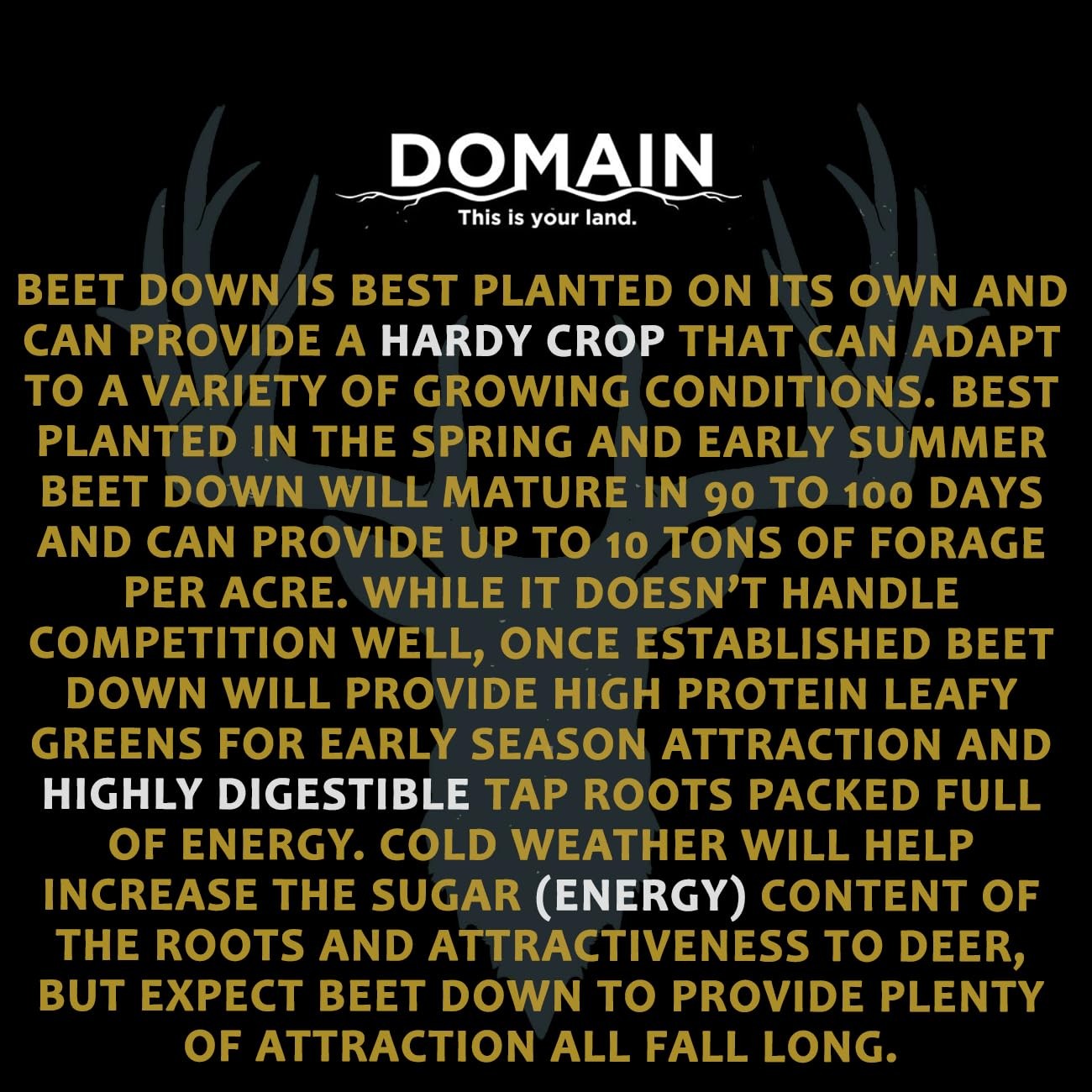 Outdoor Beet Down Food Plot Seed for Deer, 1/4 Acre, Nutrient-Rich Forage
