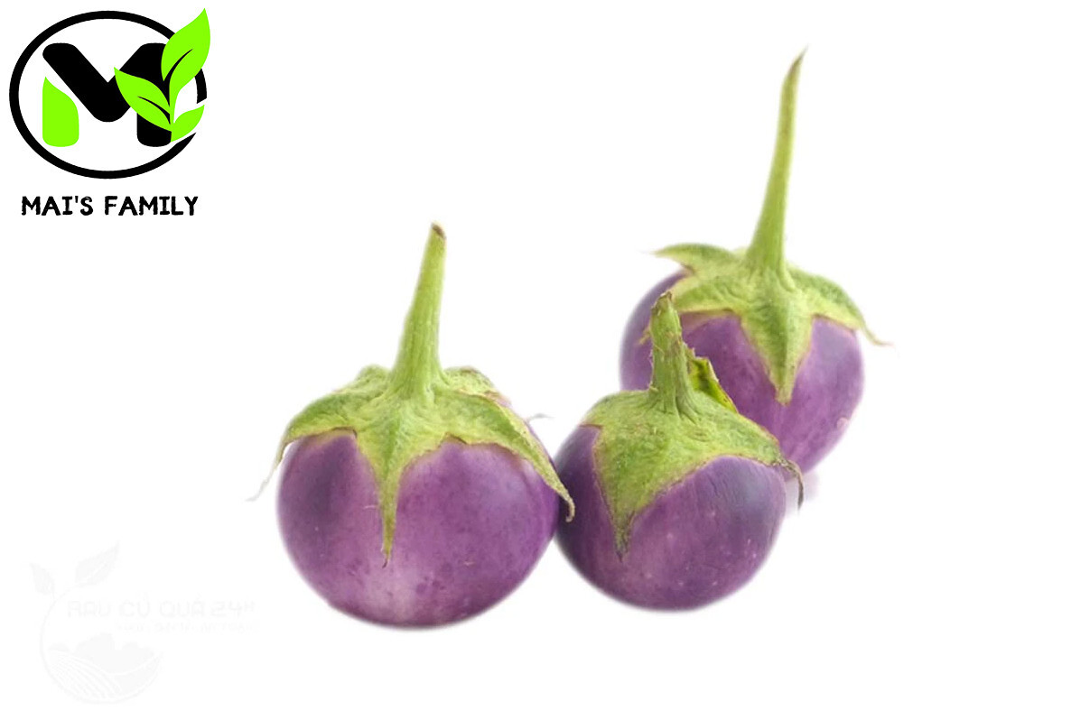 ROUND PURPLE EGGPLANT Seeds , Cà Pháo Tím {Organic}