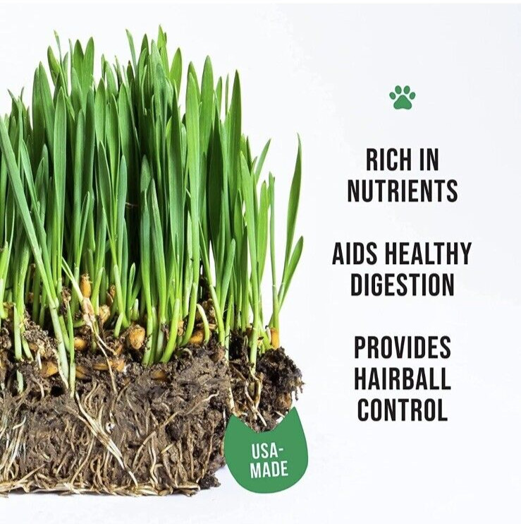 The Cat Ladies 100% Organic Cat 16oz Grass Seed Non GMO