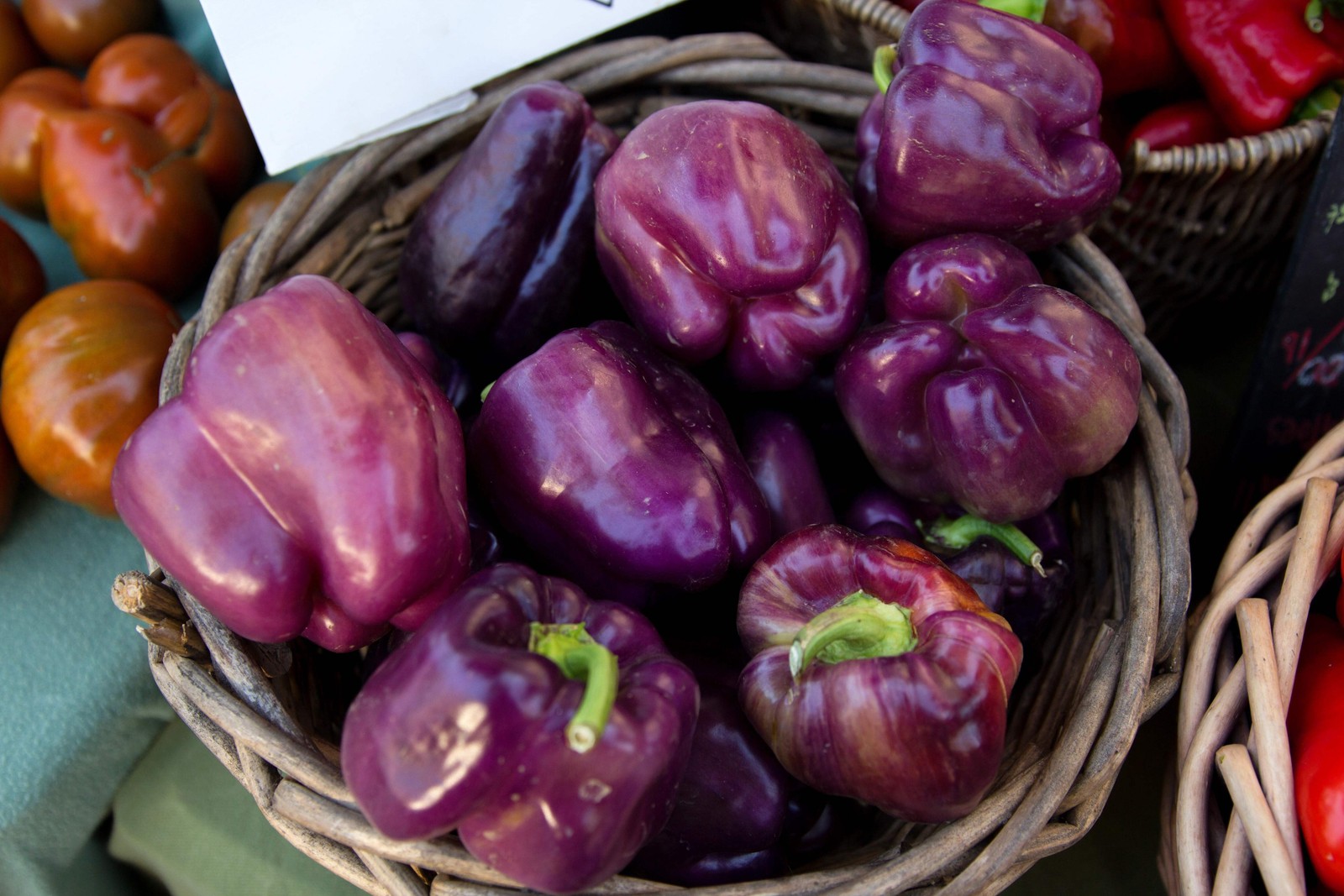 75 PURPLE BEAUTY PEPPER ( Sweet Mild Bell ) Capsicum Annuum Vegetable Seeds