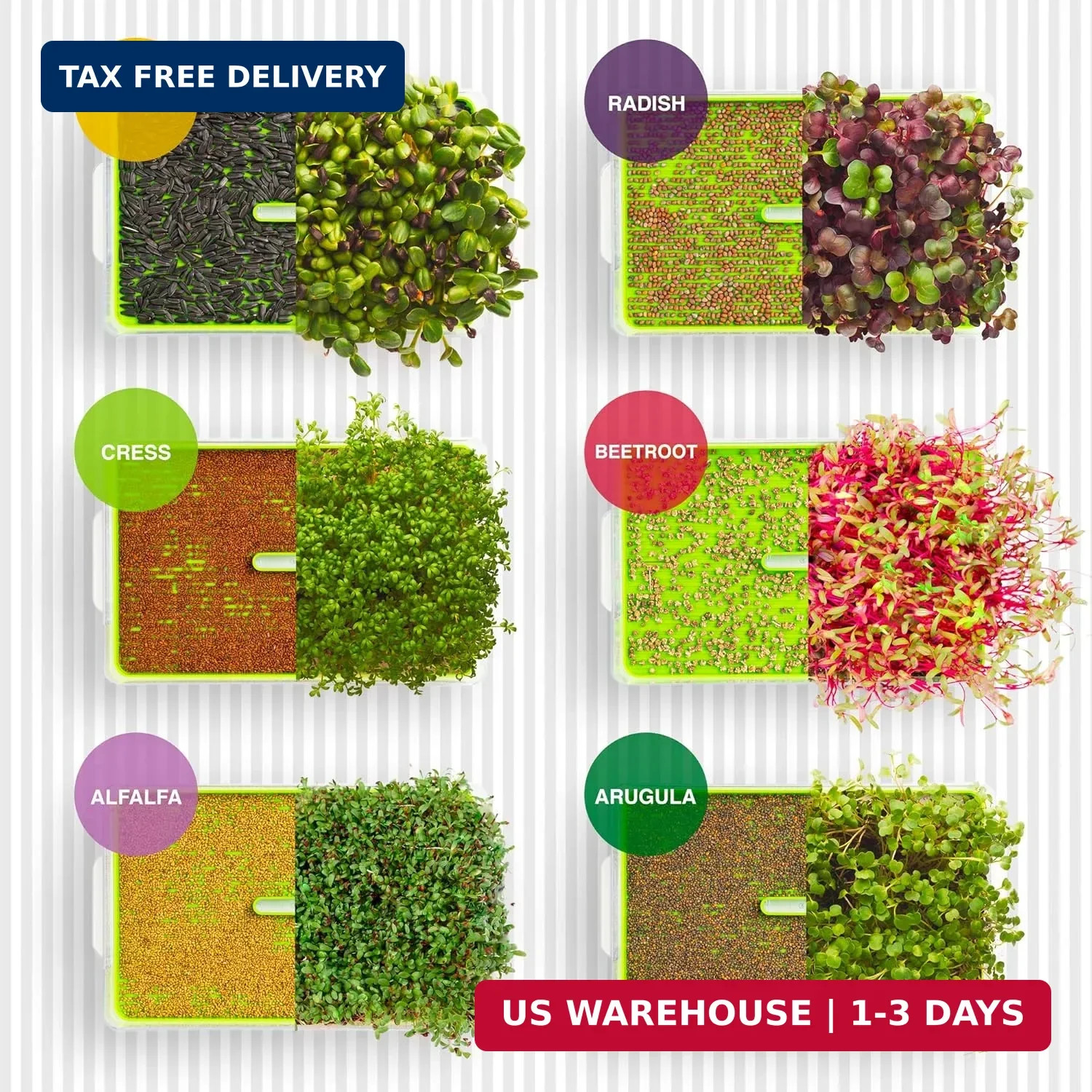 Organic Microgreen Sprouting Seeds 6-Pack – Non-GMO Heirloom Microgreens Seed Va