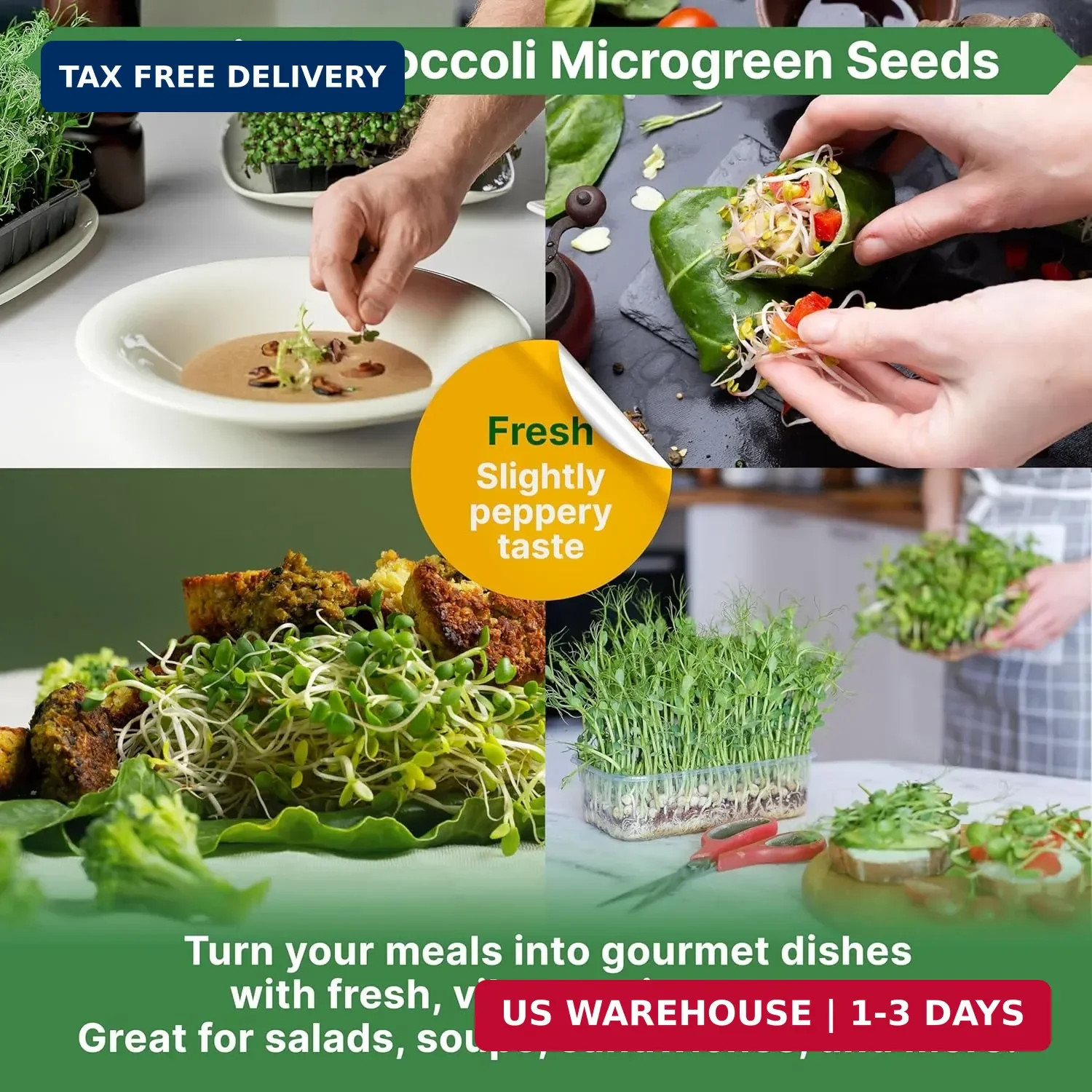 Organo Republic Broccoli Sprouting & Microgreens Seeds – 32,500 Non-GMO Heirloom
