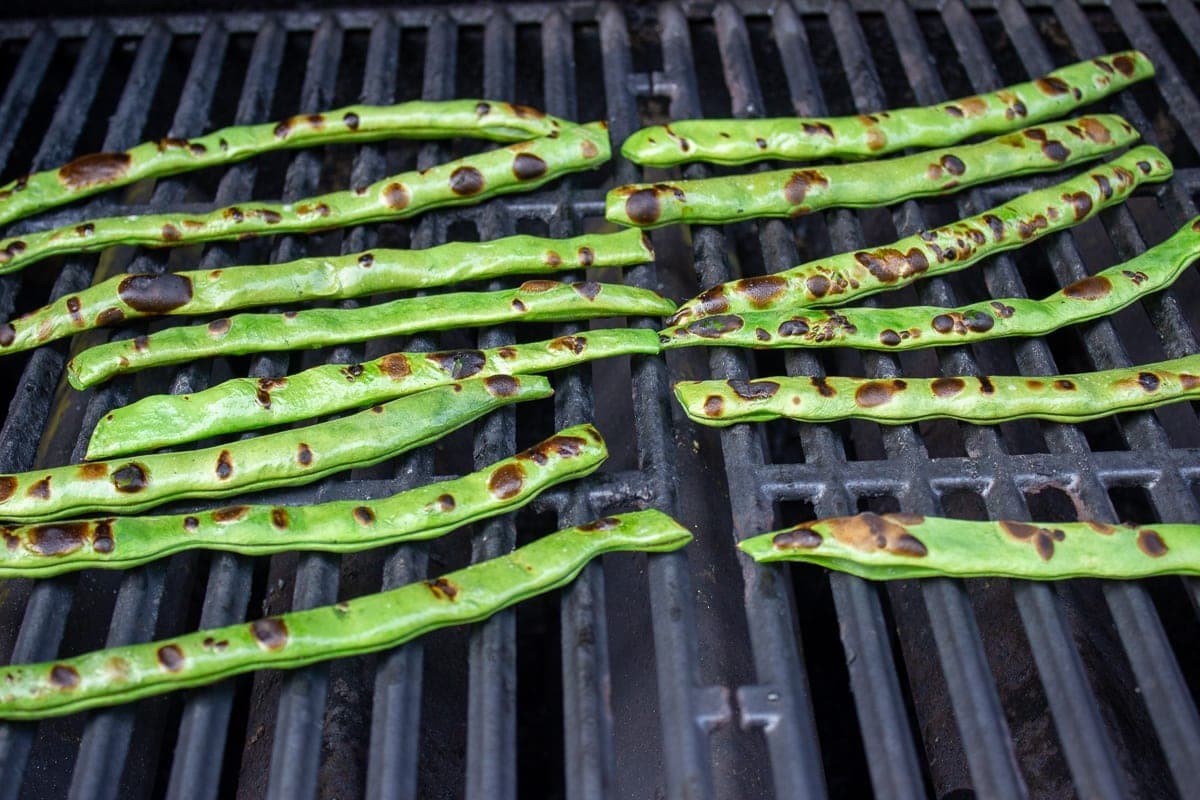 Lu Qing Romano Bean Seeds | Pole Beans Light Green Flat Runner Roma Seed 2023
