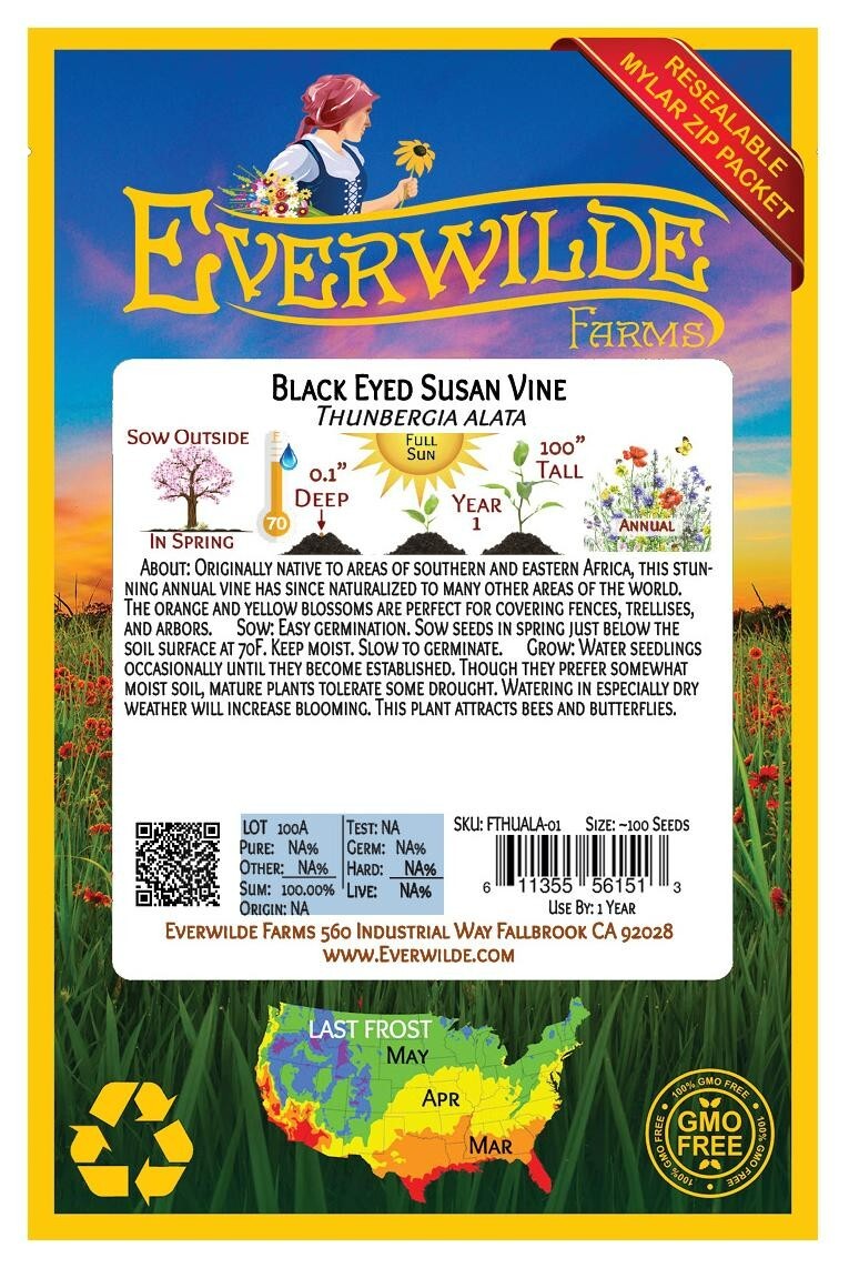 100 Black Eyed Susan Vine Wildflower Seeds – Everwilde Farms Mylar Seed Packet