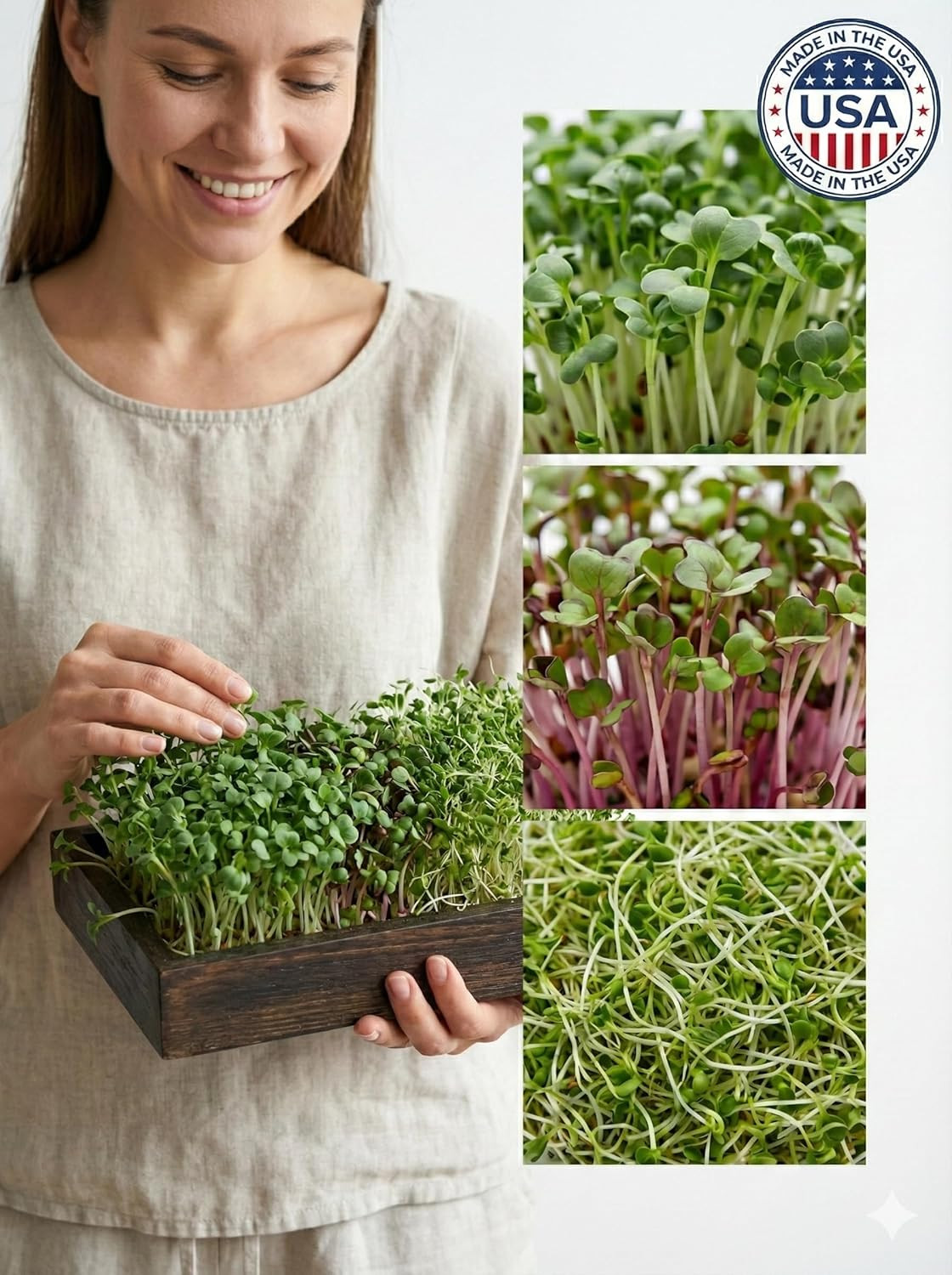 Todd’s Seeds Sprouting Seed Mix; Broccoli, Radish, Alfalfa, Non-GMO, 1 Pound
