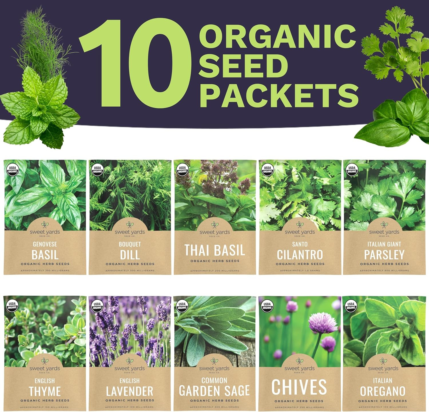 Organic Herb Seeds Variety Pack – 10 Individual Packs – 2026 Season – Basil, Cil