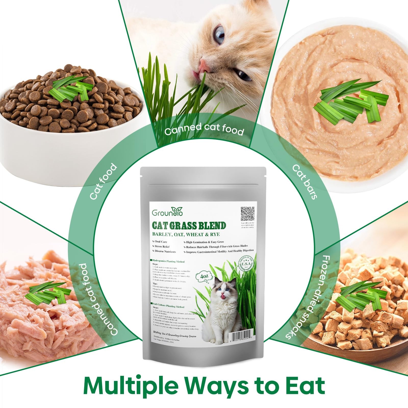 Cat Grass Seeds, Barley, Oats, Wheat, Rye 4 Varieties, Non-GMO Grow in 4-7 Days