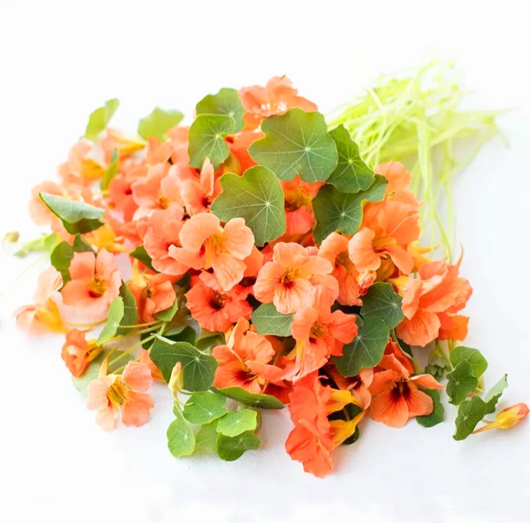 100 Nasturtium Seeds Tropaeolum majus Edible Flowers and Leaves – Spicy Flavor –