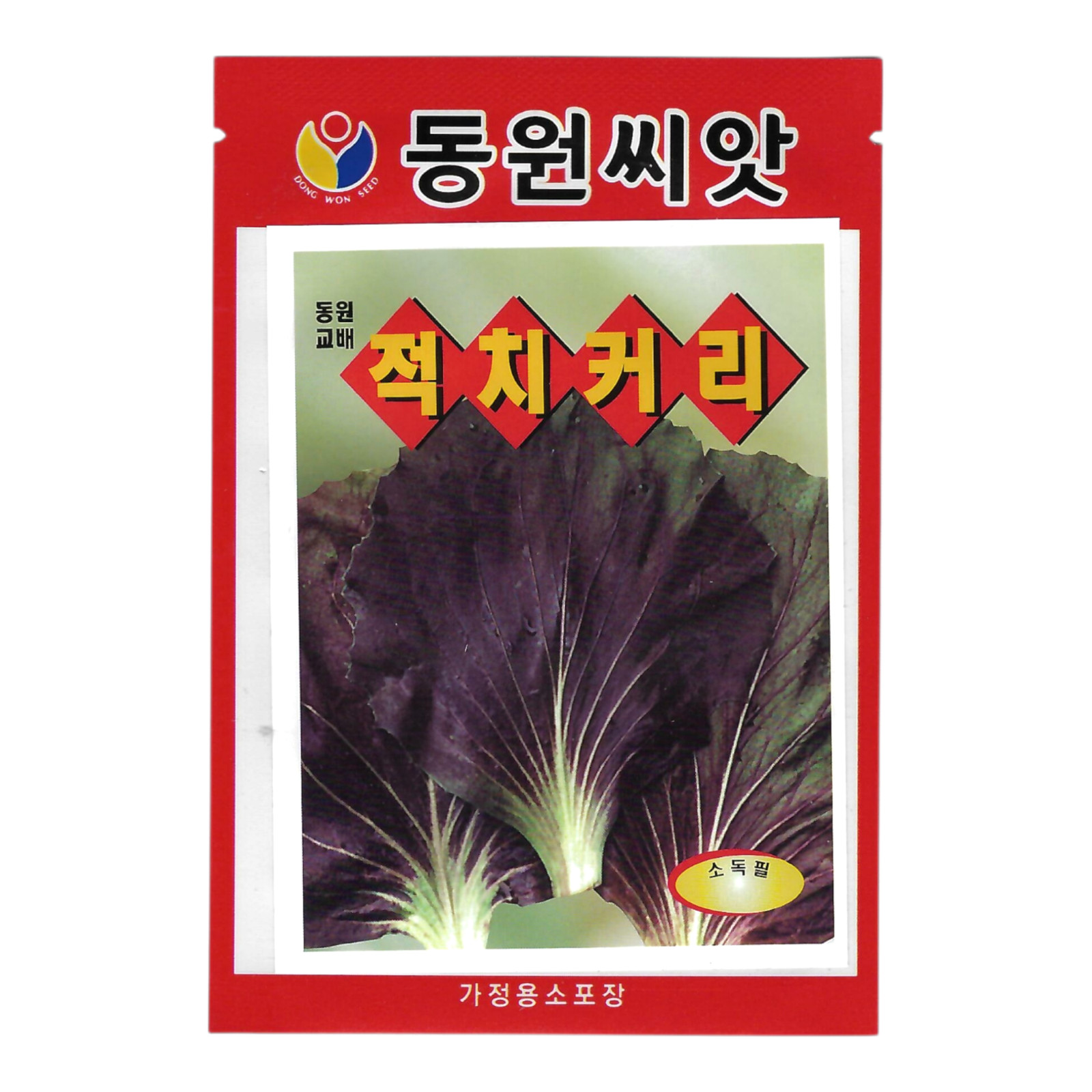 Korean Chicory Seeds 1 Pack | Red Leaf Chicory (적치커리)