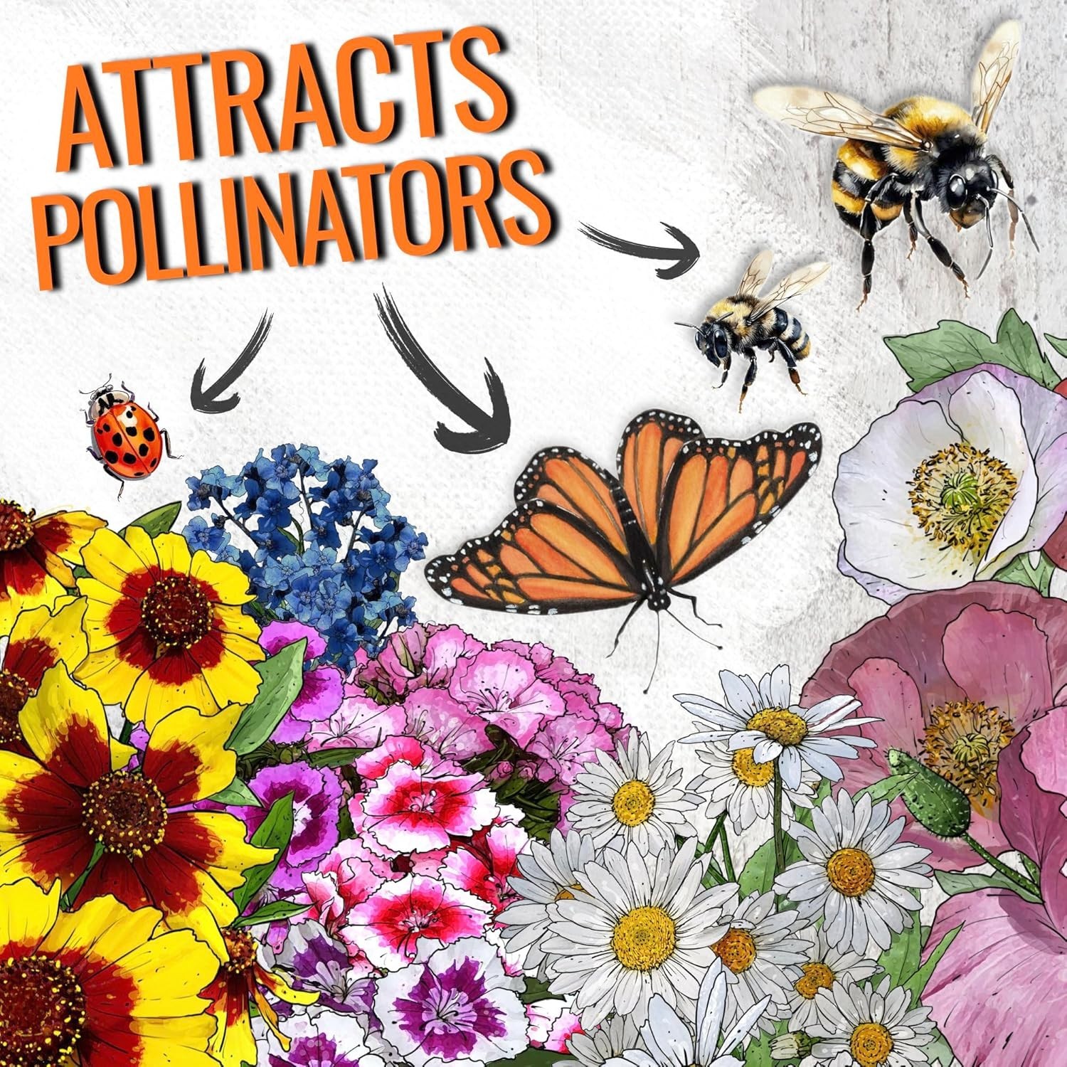 1 oz Wildflower Seed Mix for Partial Shade – Attracts Butterflies & Pollinators