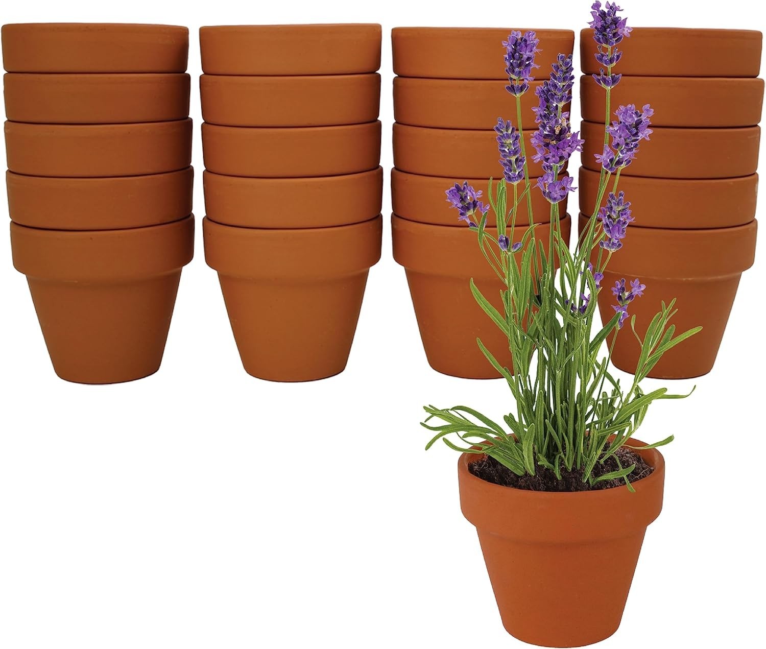 Seeds Terracotta Mini Grow Pots – Herb Flower Plant Starter Kit Assorted 20-P…