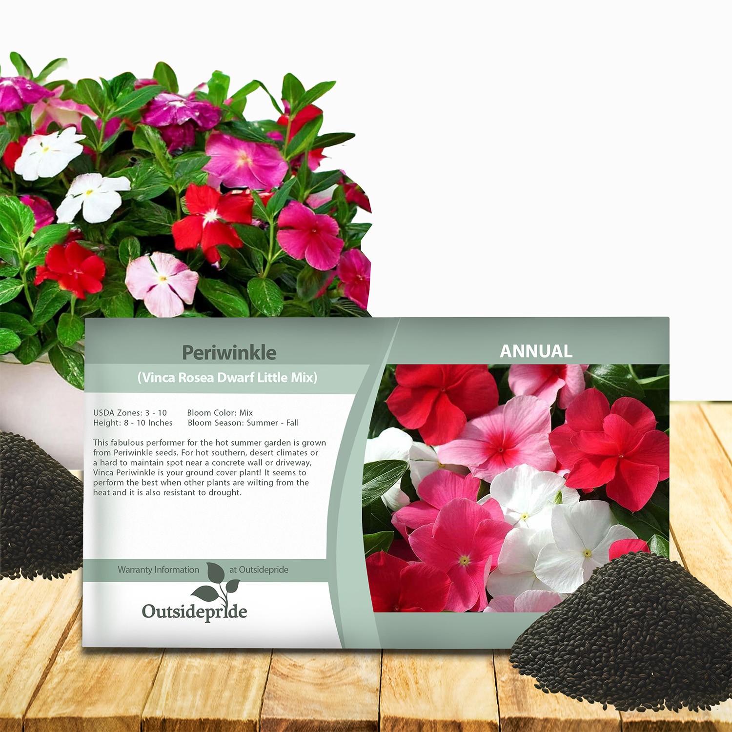 4000 Seeds Periwinkle Vinca Seed Mix For Planting – Dwarf Little Mix Ground