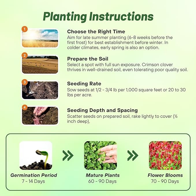10 LBS – Inoculated Bulk Crimson Clover Seed For Planting Pastures, Cover