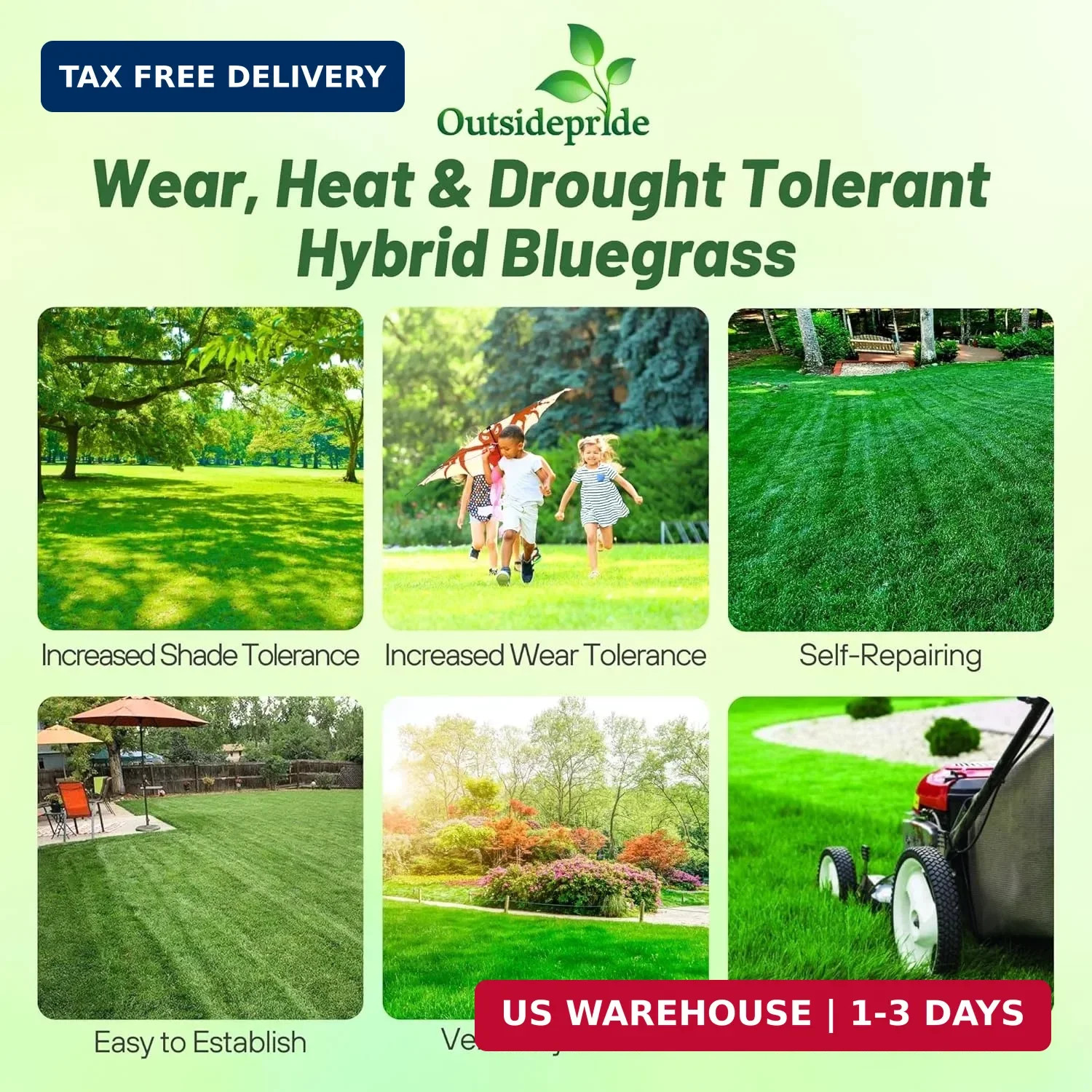 Outsidepride SPF-30 Hybrid Bluegrass Seeds – 5 lbs. Heat & Drought Tolerant, Tex