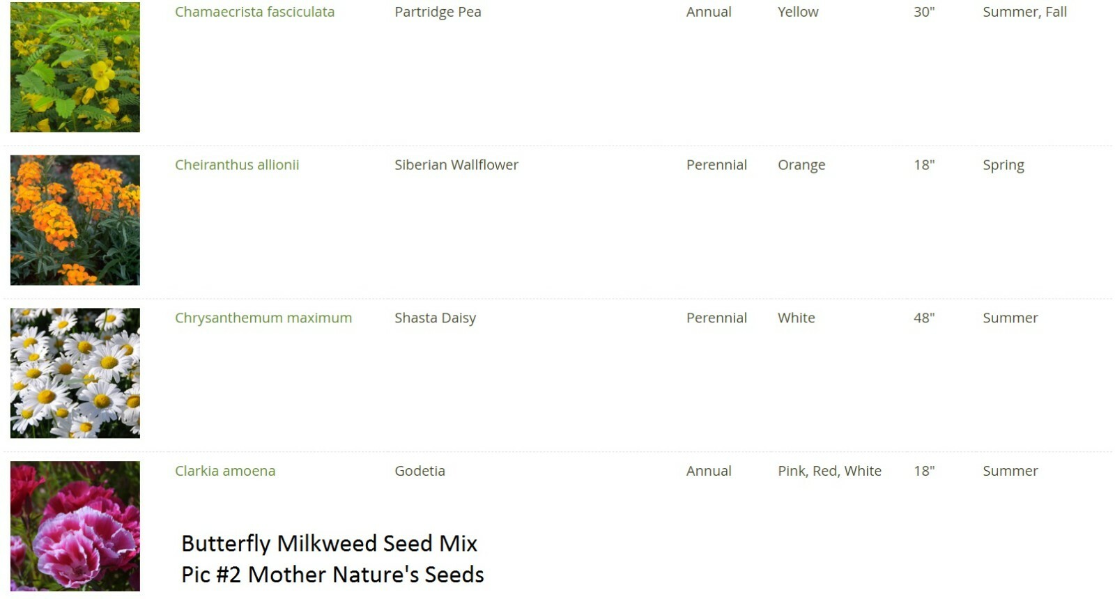 Wildflower Mix MONARCH BUTTERFLY 27 Heirloom Flower Species w/Milkweed 500 Seeds