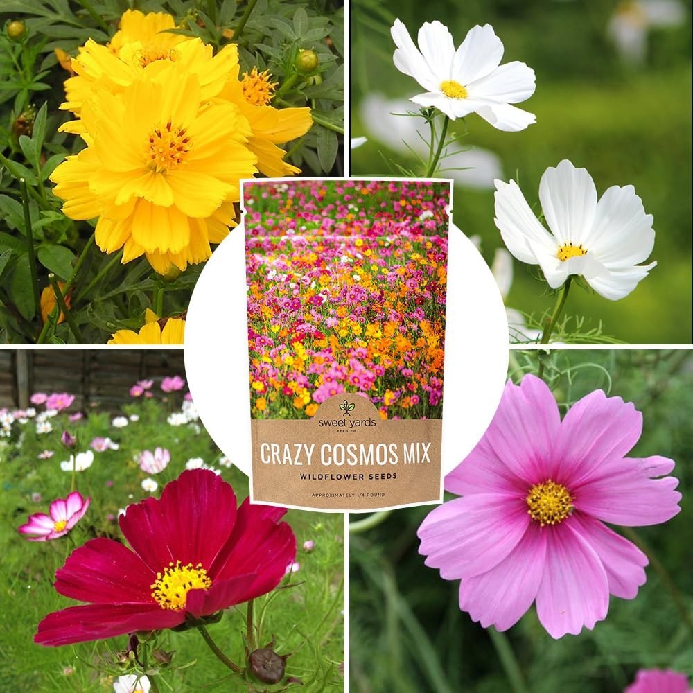 Wildflower Seed Mix – Bulk 1/4 lb Bag – 20,000+ Colorful Seeds for Garden