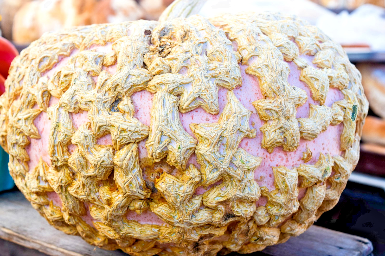 peanut pumpkin 15 seeds Galeux D’Eysines french winter squash