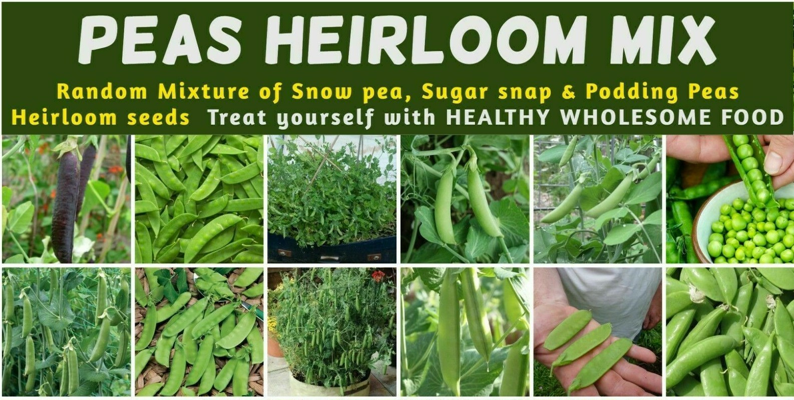 PEA Heirloom Mix 25+ NON-GMO Seeds vegetable garden ALL TYPES MIXED snow peas