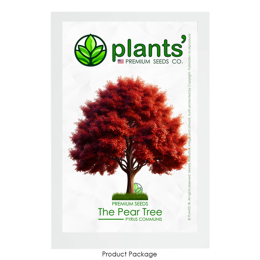 The Pear Tree | Premium Seeds | Pyrus communis ‘Fall’ | Plants’®