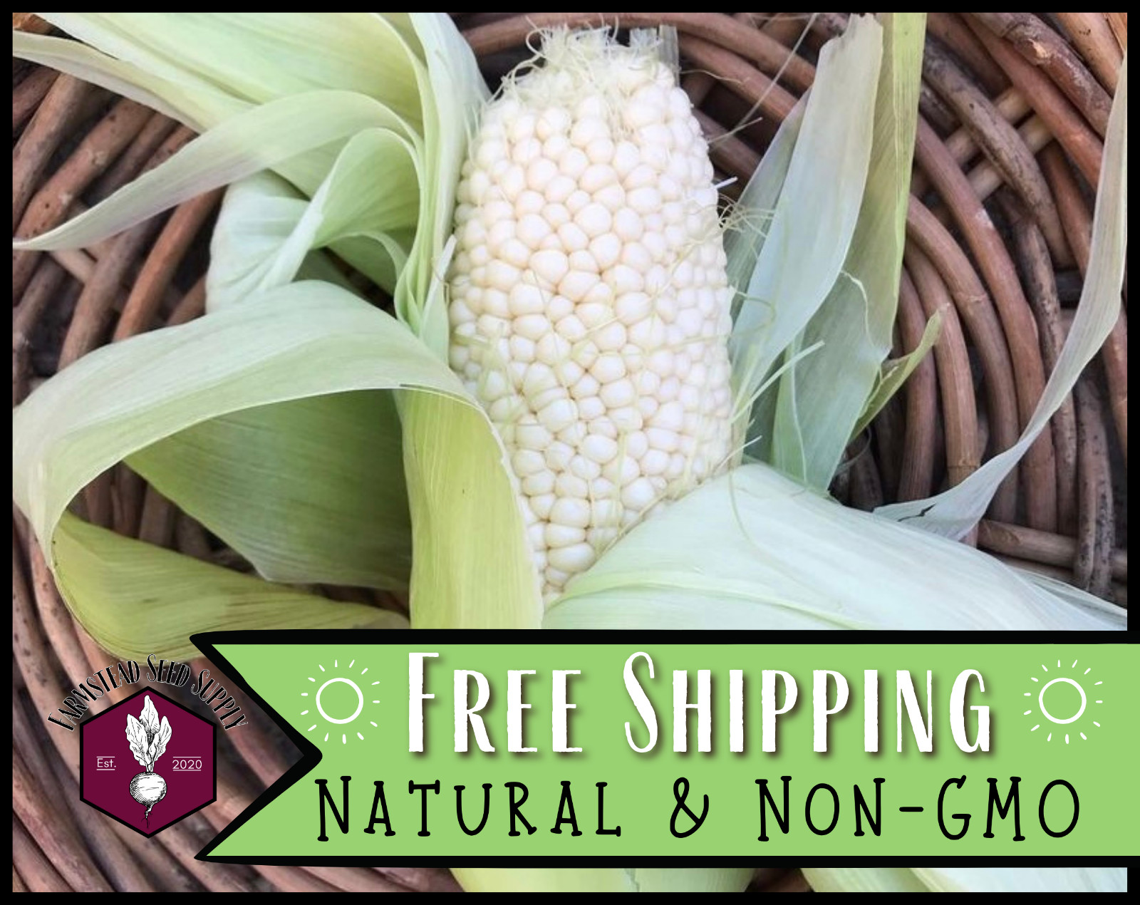 130+ Sweet Corn Seeds [Country Gentleman] Vegetable Gardening, Heirloom, Non-GMO