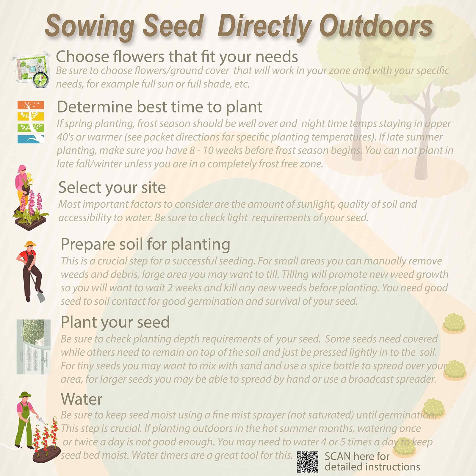1 LB Deer Resistant Wild Flower Seed Mix – available in bulk
